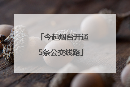 今起烟台开通5条公交线路