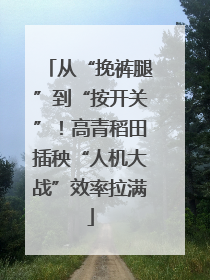 从“挽裤腿”到“按开关”！高青稻田插秧“人机大战”效率拉满