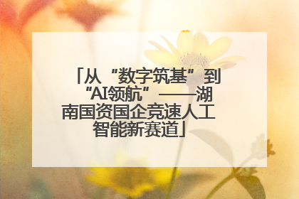 从“数字筑基”到“AI领航”——湖南国资国企竞速人工智能新赛道