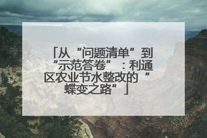 从“问题清单”到“示范答卷”：利通区农业节水整改的“蝶变之路”