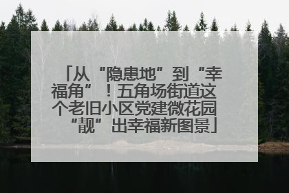 从“隐患地”到“幸福角”！五角场街道这个老旧小区党建微花园“靓”出幸福新图景