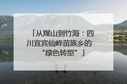 从煤山到竹海：四川宜宾仙峰苗族乡的“绿色转型”