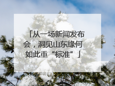 从一场新闻发布会，洞见山东缘何如此重“标准”