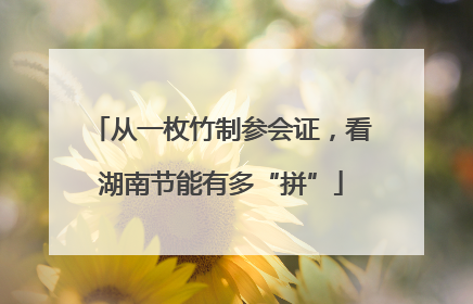 从一枚竹制参会证，看湖南节能有多“拼”