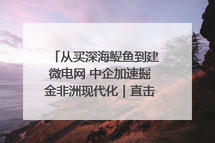 从买深海鳀鱼到建微电网 中企加速掘金非洲现代化｜直击中非经贸博览会