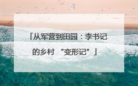 从军营到田园：李书记的乡村 “变形记”