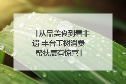 从品美食到看非遗 丰台玉树消费帮扶展有惊喜