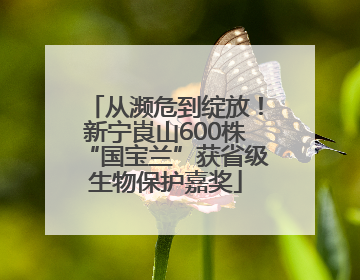 从濒危到绽放！新宁崀山600株“国宝兰”获省级生物保护嘉奖