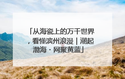 从海瓷上的万千世界，看懂滨州浪漫｜潮起渤海・网聚黄蓝