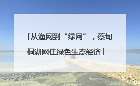 从渔网到“绿网”，蔡甸桐湖网住绿色生态经济