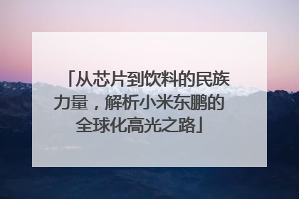 从芯片到饮料的民族力量，解析小米东鹏的全球化高光之路