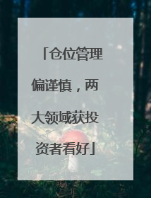 仓位管理偏谨慎，两大领域获投资者看好