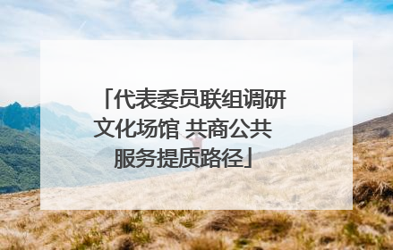 代表委员联组调研文化场馆 共商公共服务提质路径