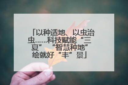 以种适地、以虫治虫……科技赋能“三夏” “智慧种地”绘就好“丰”景