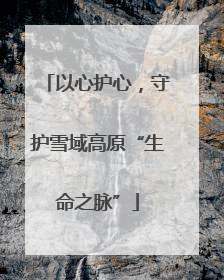 以心护心，守护雪域高原“生命之脉”