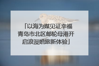 以海为媒见证幸福 青岛市北区邮轮母港开启浪漫婚旅新体验