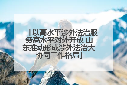 以高水平涉外法治服务高水平对外开放 山东推动形成涉外法治大协同工作格局
