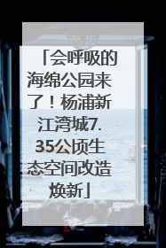 会呼吸的海绵公园来了！杨浦新江湾城7.35公顷生态空间改造焕新