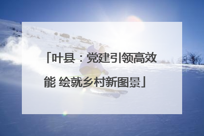叶县：党建引领高效能 绘就乡村新图景