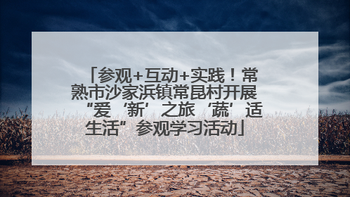 参观+互动+实践！常熟市沙家浜镇常昆村开展“爱‘新’之旅‘蔬’适生活”参观学习活动