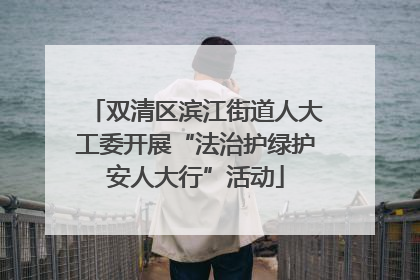 双清区滨江街道人大工委开展“法治护绿护安人大行”活动