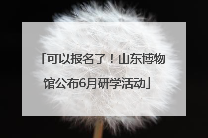 可以报名了！山东博物馆公布6月研学活动