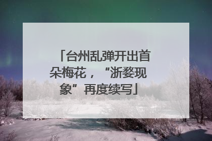 台州乱弹开出首朵梅花，“浙婺现象”再度续写