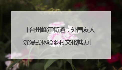 台州峰江街道：外国友人沉浸式体验乡村文化魅力