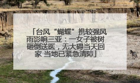 台风“蝴蝶”携较强风雨影响三亚：一女子被树砸倒送医，无大碍当天回家 当地已紧急清障