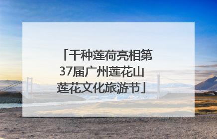 千种莲荷亮相第37届广州莲花山莲花文化旅游节