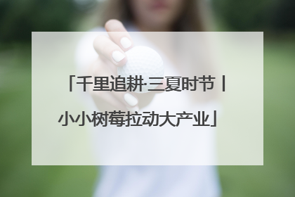 千里追耕·三夏时节丨小小树莓拉动大产业