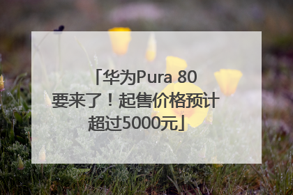 华为Pura 80要来了！起售价格预计超过5000元