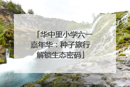 华中里小学六一嘉年华：种子旅行解锁生态密码