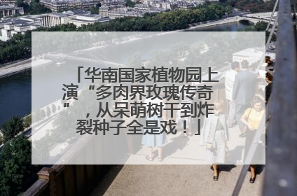 华南国家植物园上演“多肉界玫瑰传奇”，从呆萌树干到炸裂种子全是戏！