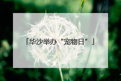 华沙举办“宠物日”