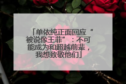 单依纯正面回应“被说像王菲”：不可能成为和超越前辈，我想致敬他们