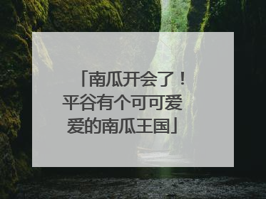 南瓜开会了！平谷有个可可爱爱的南瓜王国