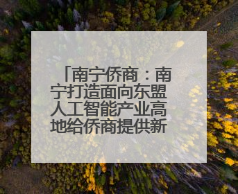 南宁侨商：南宁打造面向东盟人工智能产业高地给侨商提供新机遇