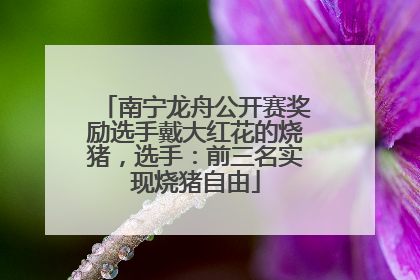 南宁龙舟公开赛奖励选手戴大红花的烧猪，选手：前三名实现烧猪自由