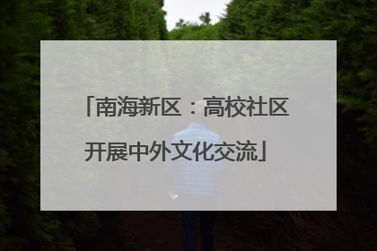 南海新区：高校社区开展中外文化交流