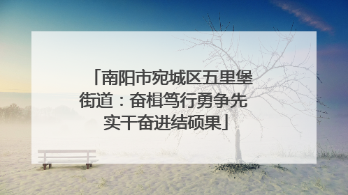 南阳市宛城区五里堡街道：奋楫笃行勇争先 实干奋进结硕果