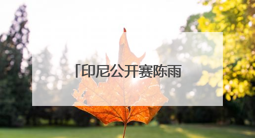 印尼公开赛陈雨菲因伤退出“内战”，国羽各单项唯男双表现差劲