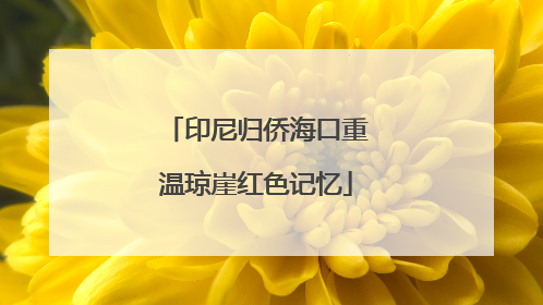 印尼归侨海口重温琼崖红色记忆