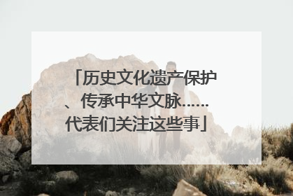 历史文化遗产保护、传承中华文脉……代表们关注这些事