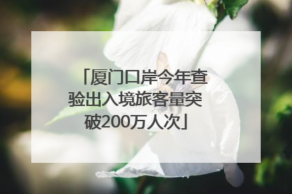 厦门口岸今年查验出入境旅客量突破200万人次