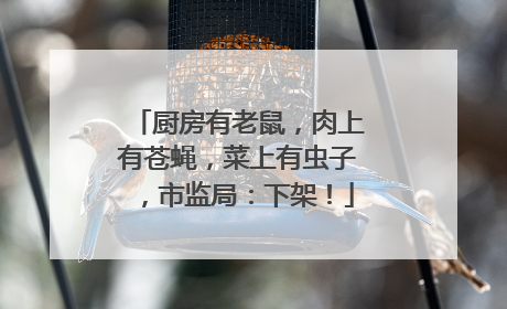 厨房有老鼠，肉上有苍蝇，菜上有虫子，市监局：下架！