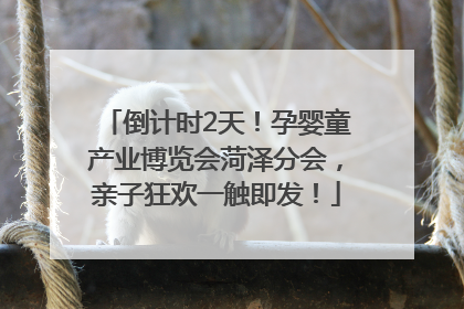 倒计时2天！孕婴童产业博览会菏泽分会，亲子狂欢一触即发！