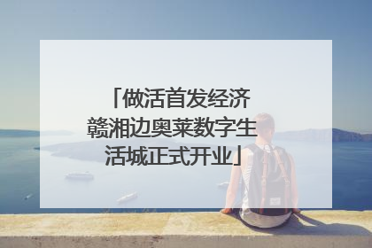 做活首发经济 赣湘边奥莱数字生活城正式开业