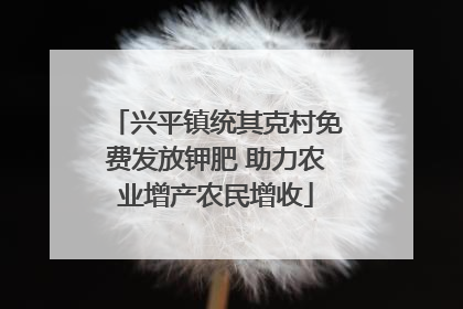 兴平镇统其克村免费发放钾肥 助力农业增产农民增收