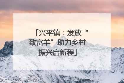 兴平镇：发放“致富羊”助力乡村振兴启新程